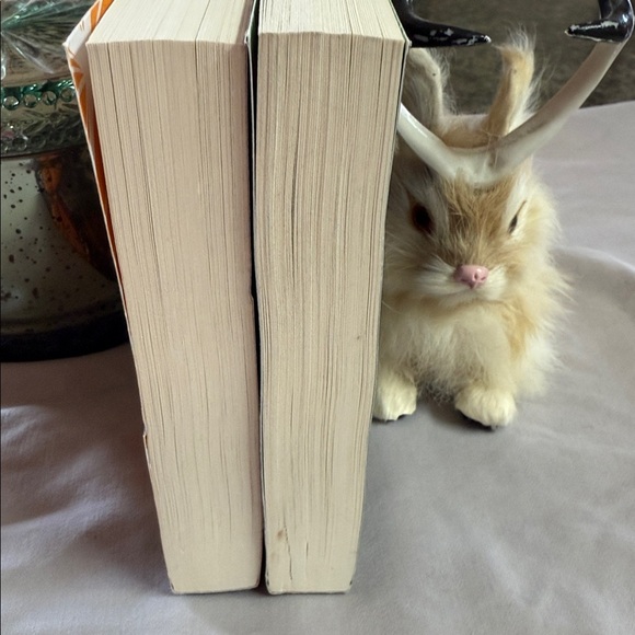 The Infatuated Fae Book Set by Jeneane O'Riley - Picture 9 of 10